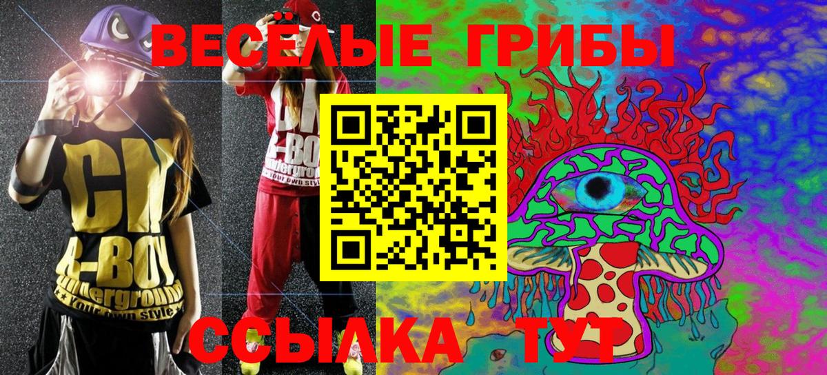 Псилоцибиновые грибы Psilocybe Минеральные Воды